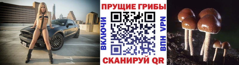 Галлюциногенные грибы Cubensis купить закладку Пенза